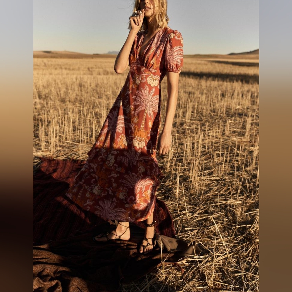 Zara ZW Limited Collection Printed Midi Dress NWT